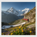 15 days europe tour package from india hero