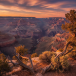 america tour packages from india hero