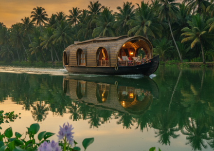 backwater houseboat kerala hero