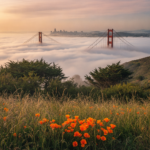 can i travel to usa from india on tourist visa hero