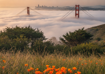 can i travel to usa from india on tourist visa hero