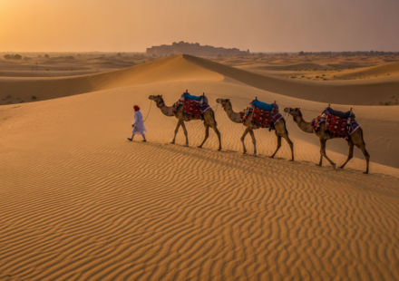 desert safari in india hero