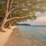 is passport required for andaman from india hero