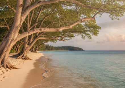 is passport required for andaman from india hero