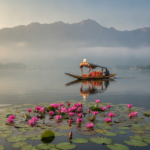june travel destinations india hero