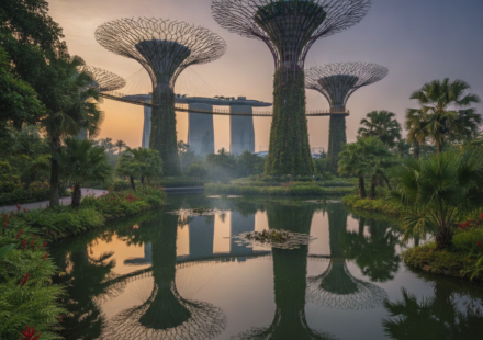 singapore tour package from india hero