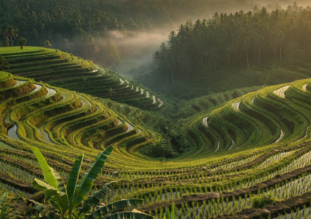 Bali itinerary hero