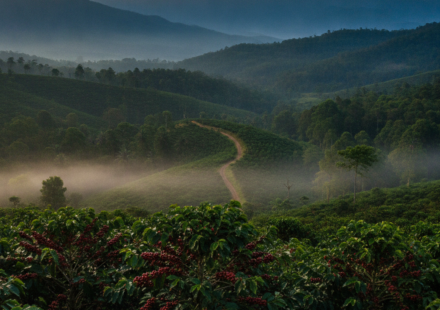 Coorg itinerary hero