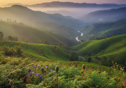 Kotagiri travel guide hero
