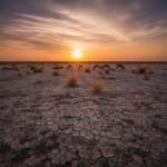 Little Rann of Kutch travel guide hero
