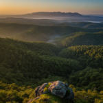 Saranda Forest travel guide hero
