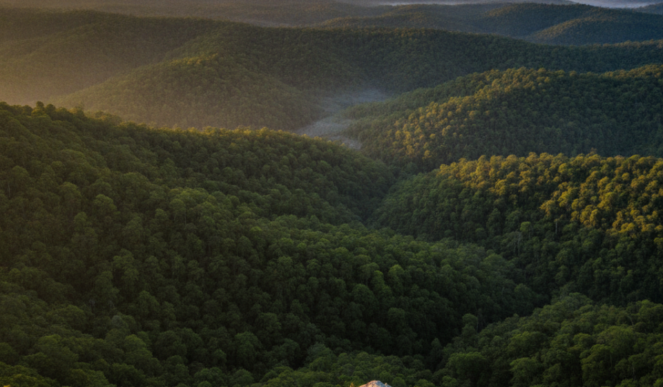 Saranda Forest travel guide hero