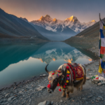 Sikkim family tour package from India hero