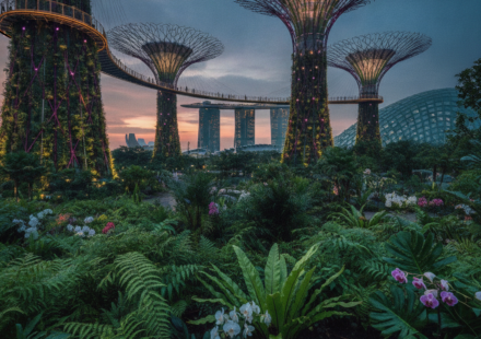 Singapore family tour package from India hero 1