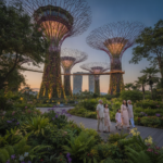 Singapore family tour package from India hero