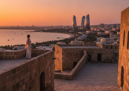 azerbaijan visa status check hero
