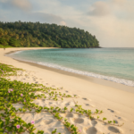 blue flag beaches in india hero