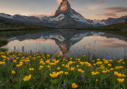 how to fill switzerland visa application form online hero