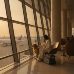 how to travel with pet in flight in India hero