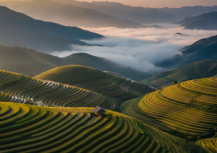vietnam visa rejection reasons hero