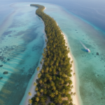 Aerial view of a narrow island strip with coconut palms in Lakshadweep surrounded by bright turquoise sea.